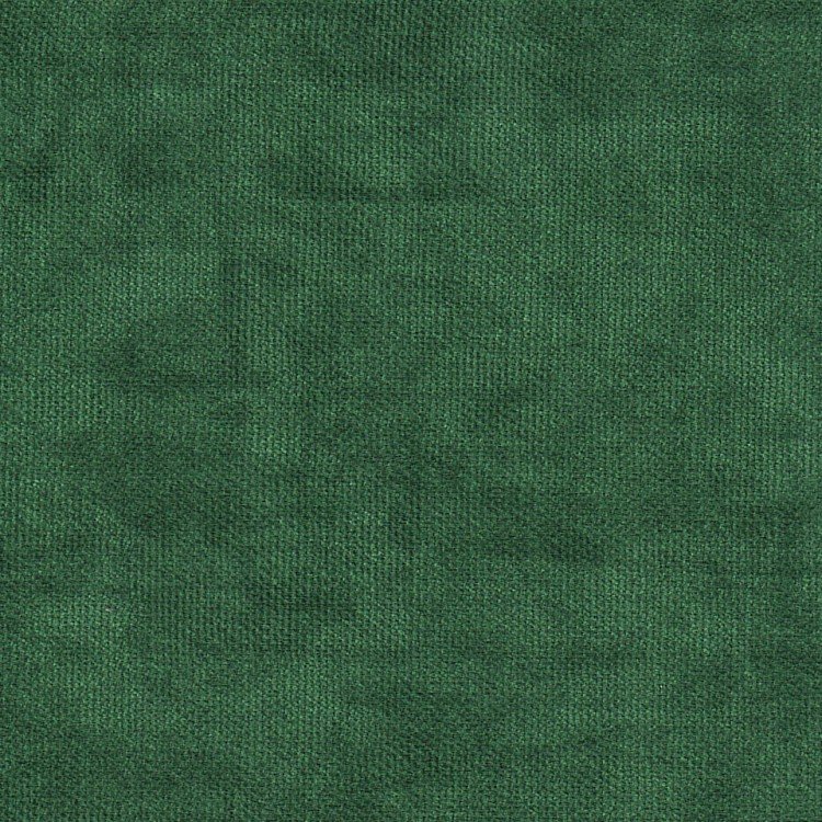 Канвас тёмно-зелёный v-469